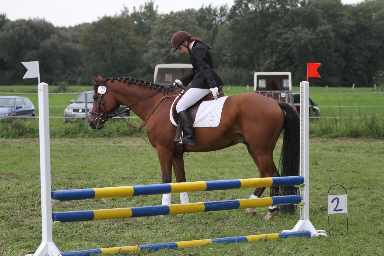 Bild 1338 - WBO-Turnier am 18.9.11
